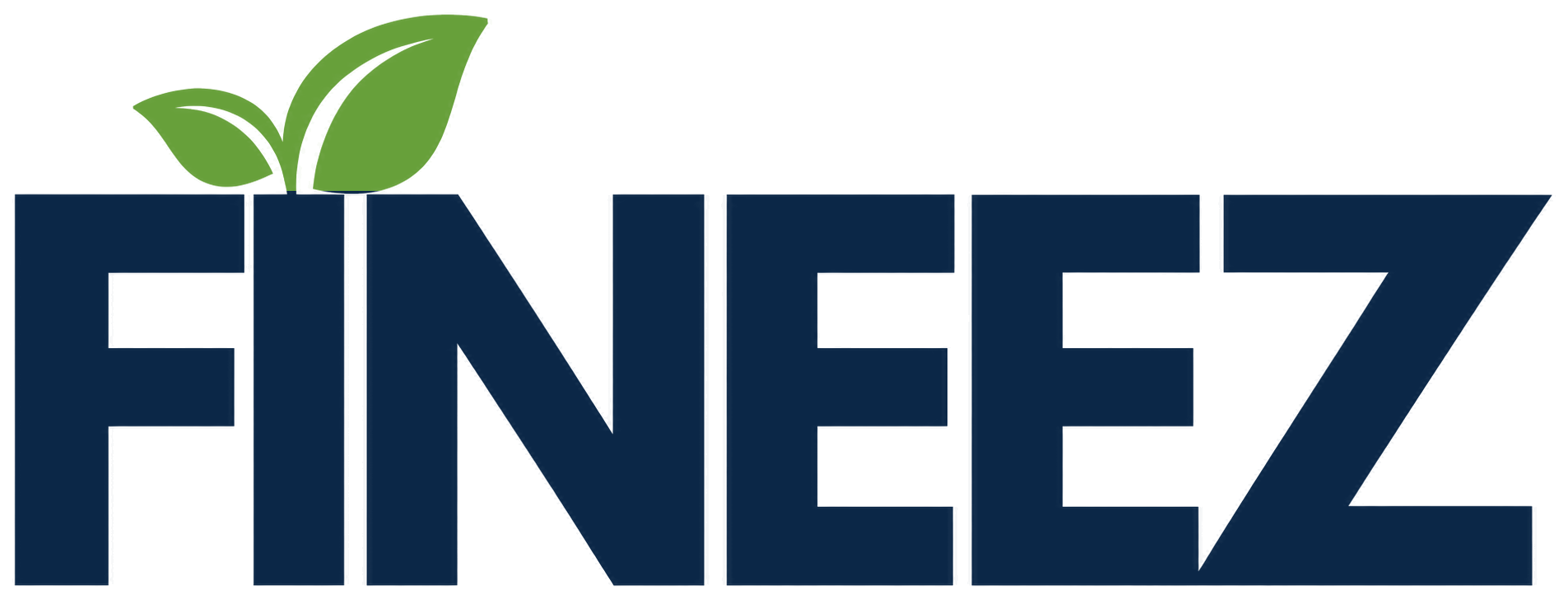 FINEEZ — India, Chartered Accountants